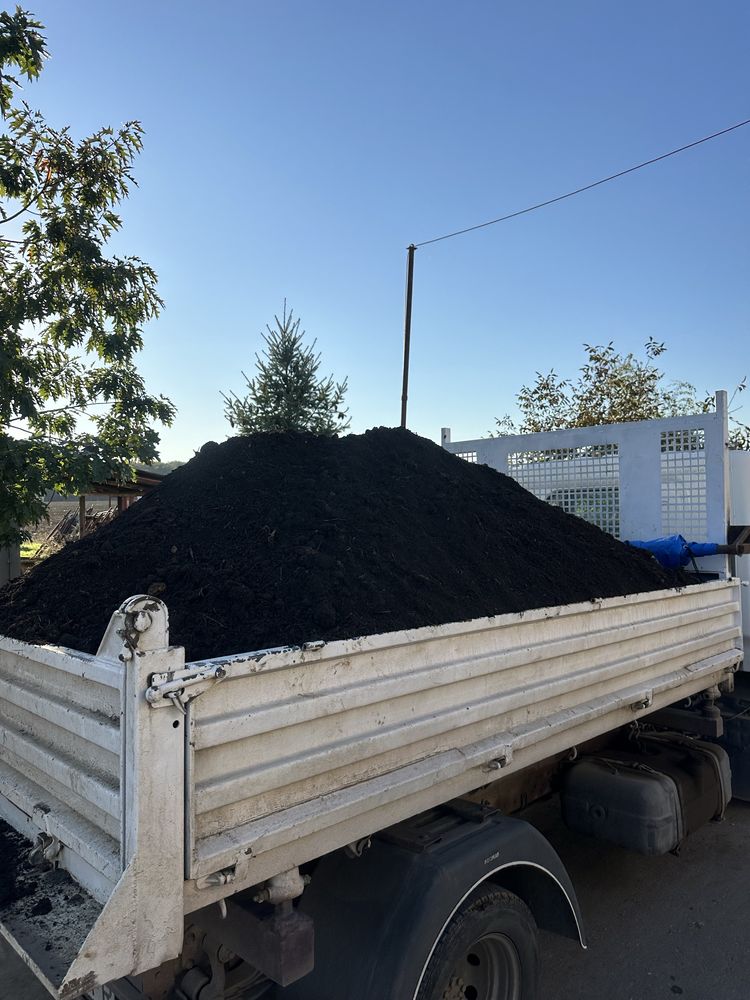 Mranita cernuta balegar fermentat