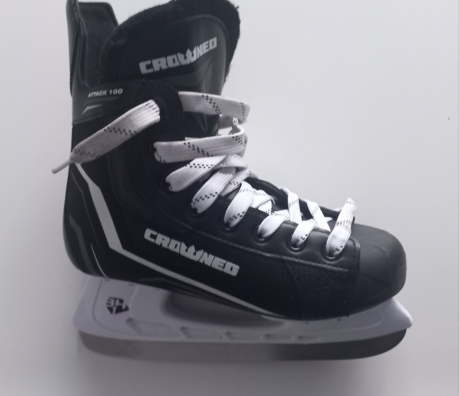 Patine gheata 37