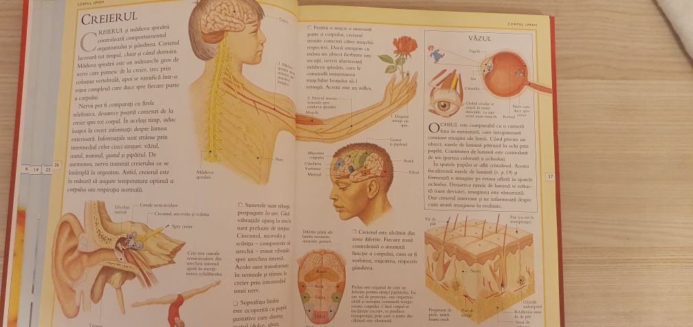 Enciclopedia stiintelor pentru copii si adolescenti