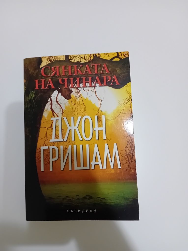 Роман на (сянката на чинара)