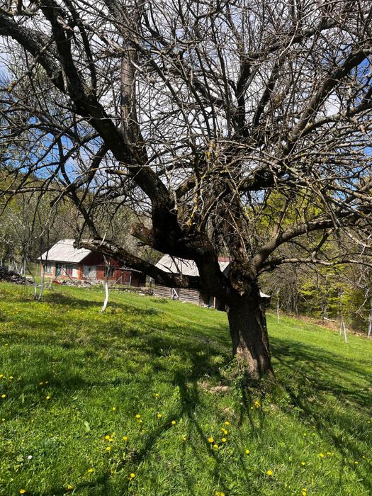 Vând casă cu teren intravilan