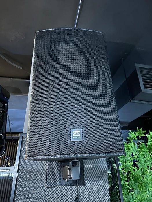 Калонка в наличии 2 шт.