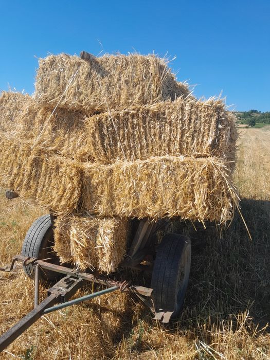 Baloți paie de vânzare