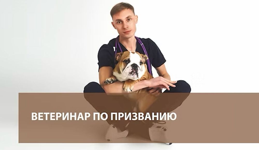 Ветеринар на выезд ветеринарный врач дом вызов ветеринара ветеринарка