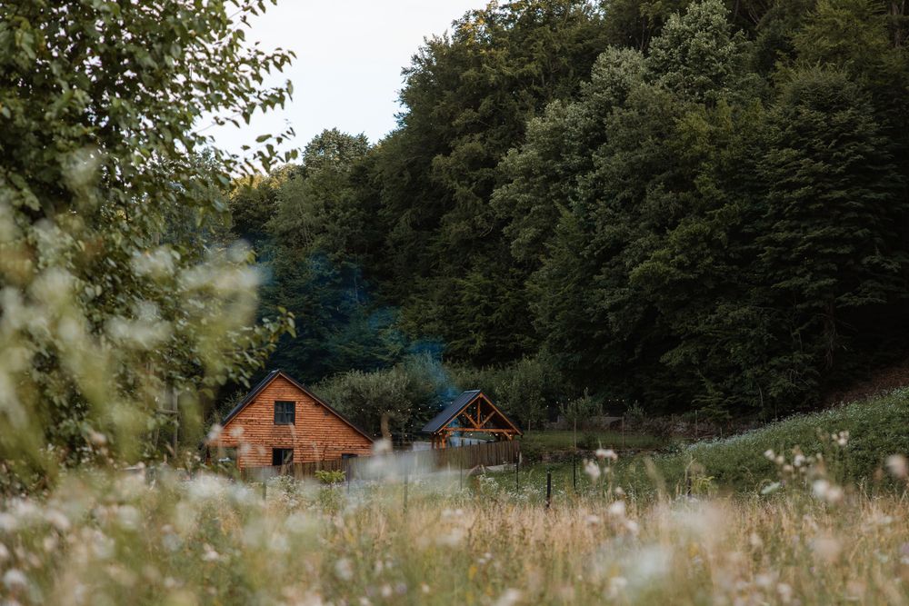 Cabana Nordica in Valea Gepisului, Bihor