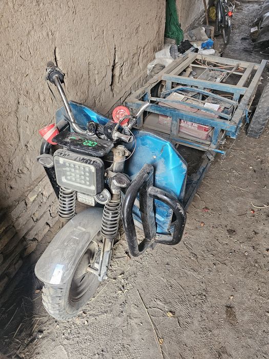 Муравейник сотилоди