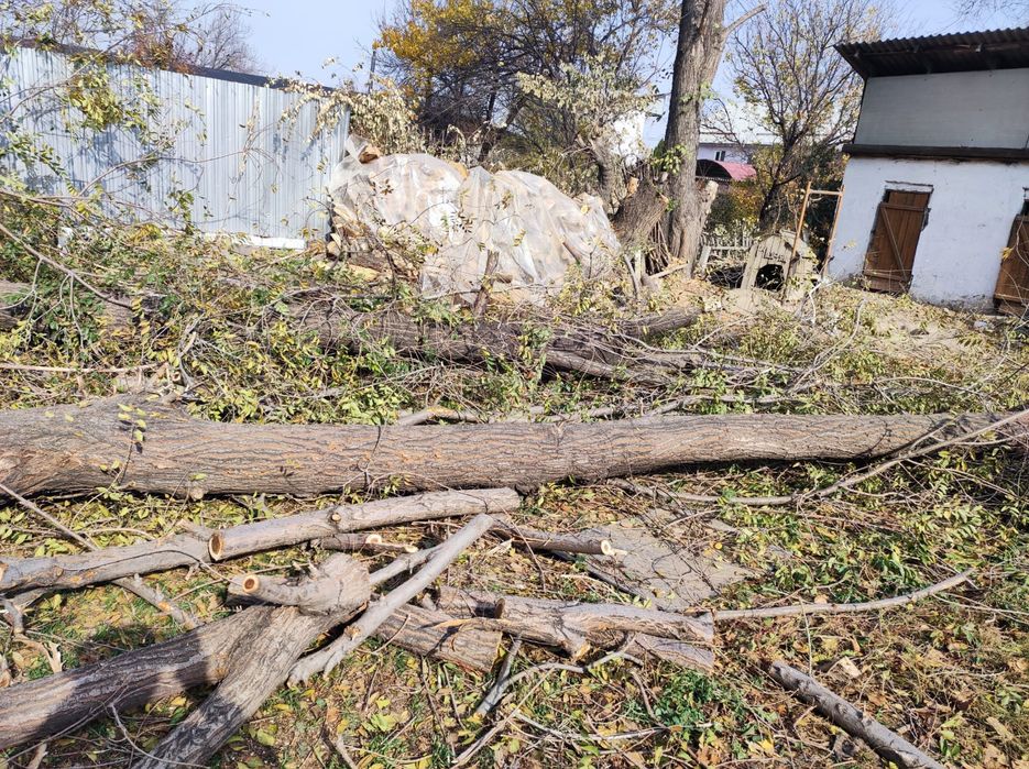 Строй материал дерево, карагач