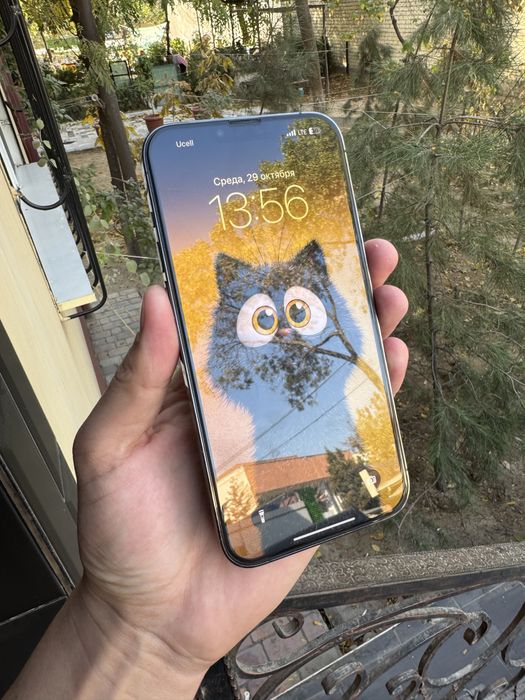 iphone 13 Pro Max 256 Gb