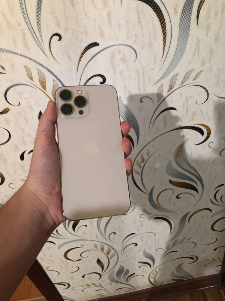 Iphone 13 promax