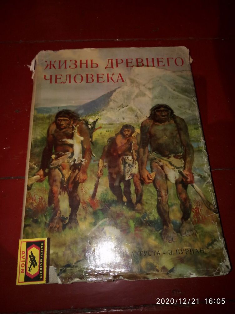 Книга"Жизнь древнего человека".