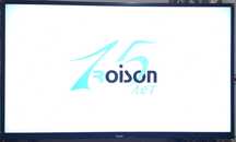 Roison tv 43 razmer