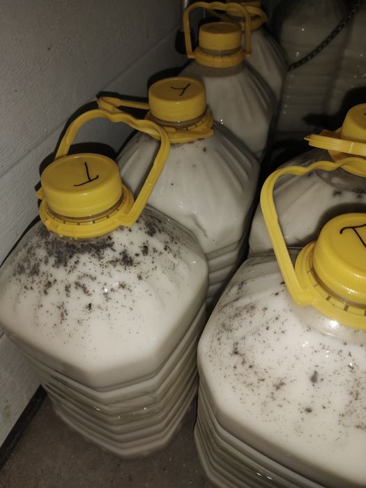 Свежий  дәмді жуас Саржалдың балдай қымызы  1400 литр  оптом 1300