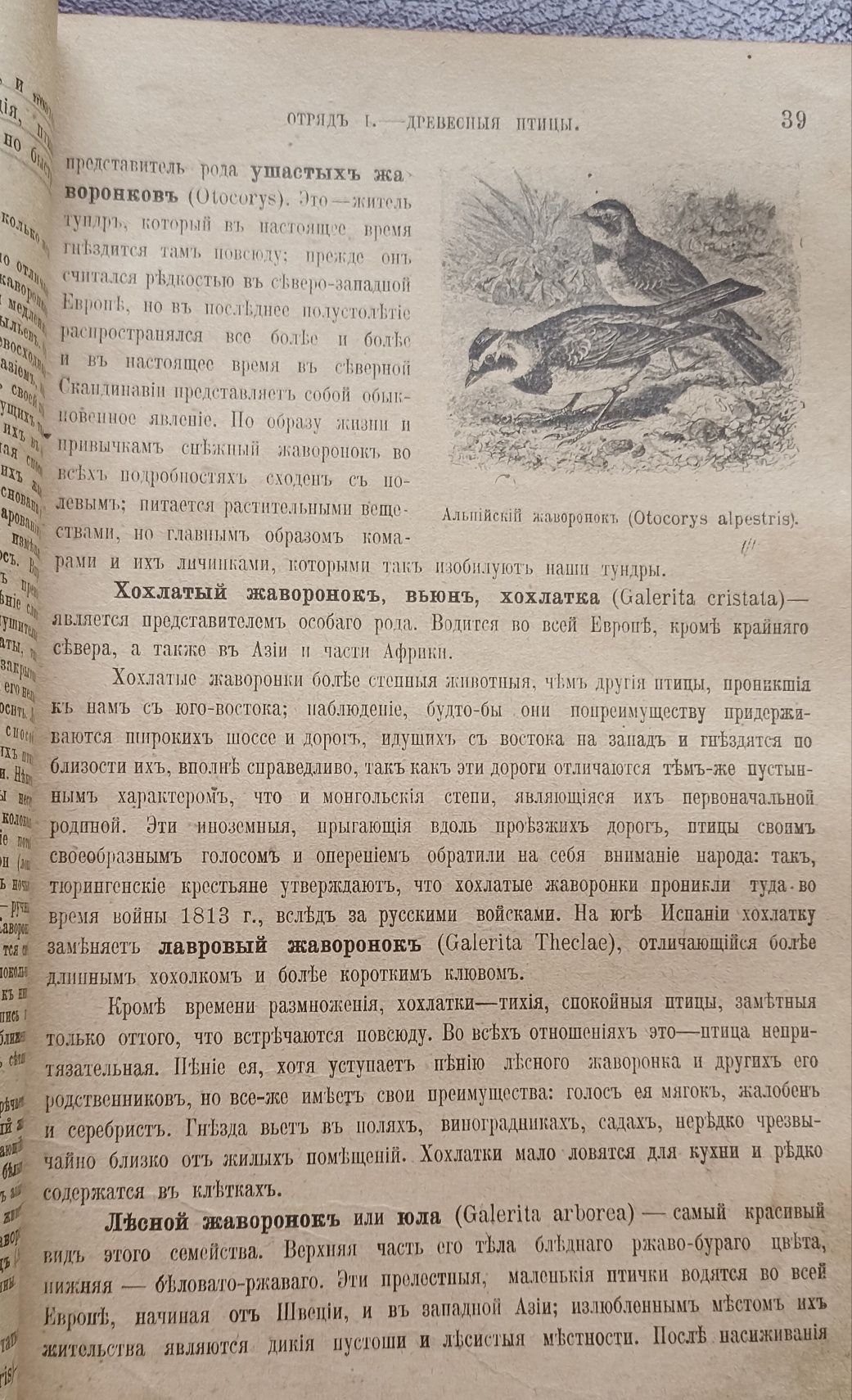 Книга жизнь животных 1902 года