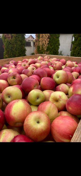 Vand mere idared calitate 1