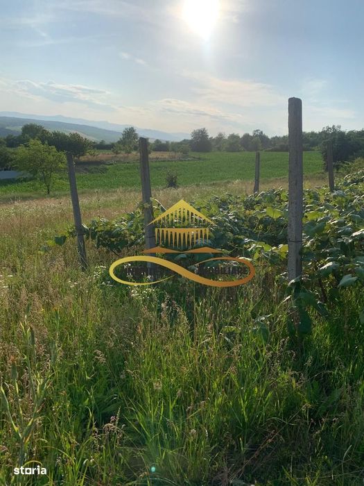 Teren EXTRAVILAN de vanzare BOSOTENI / TESCANI 7100 mp