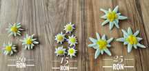 Brose flori de colt Edelweiss