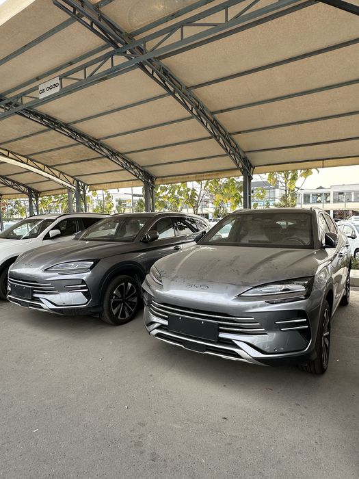 BYD Song Plus DM-i Champion 2024 2ta Yangi