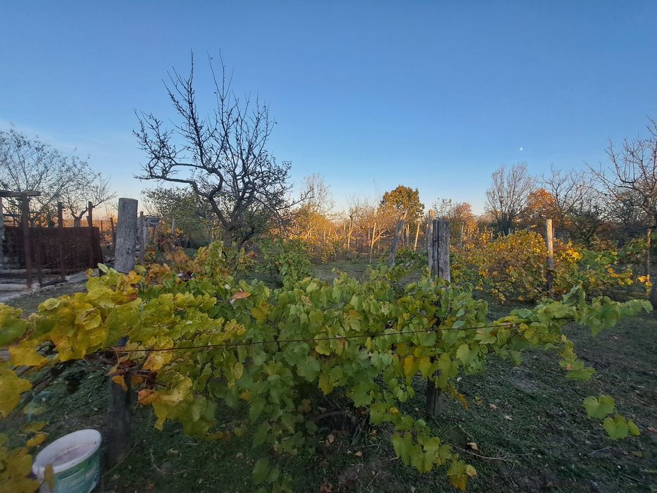 Casa de vanzare Spineni Olt