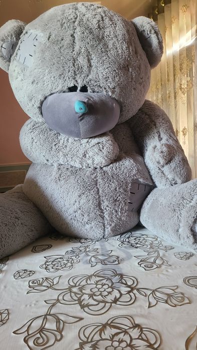 Momiq ayiq holati gòzal