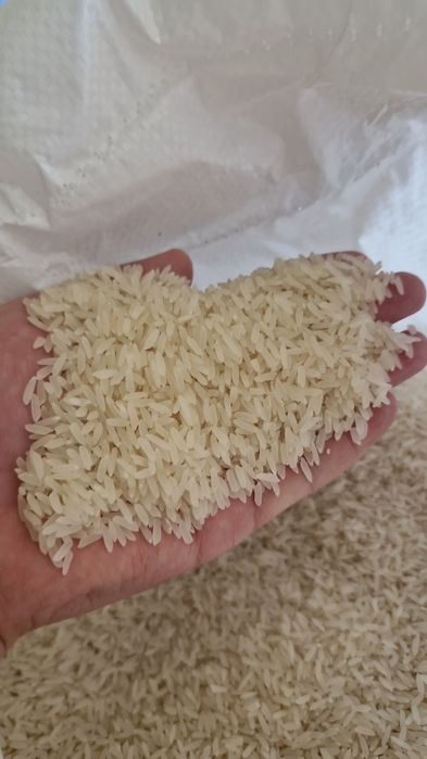 DOSTAVKA TEKIN!!!Yangi xosil keldi!!!