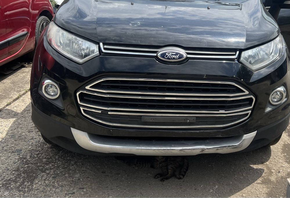 Ford EcoSport 1.0 EcoBoost на части