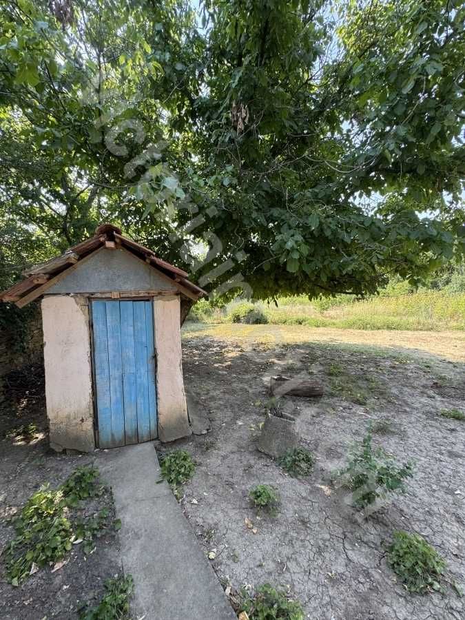 Къща с голям потенциал, в с. Дичин