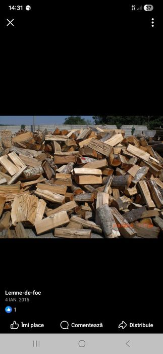 Despicare Lemne La Domiciliu
Ofer servic