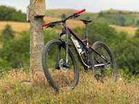 Bulls wild rush 1+/cadru L
