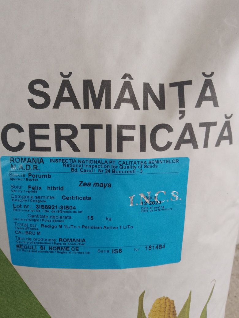 Samanta Porumb Certificat Felix, Magnus, Fundulea 475M