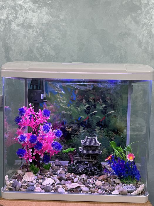 Продаже новые заводские аквариумы на 60л‼️‼️