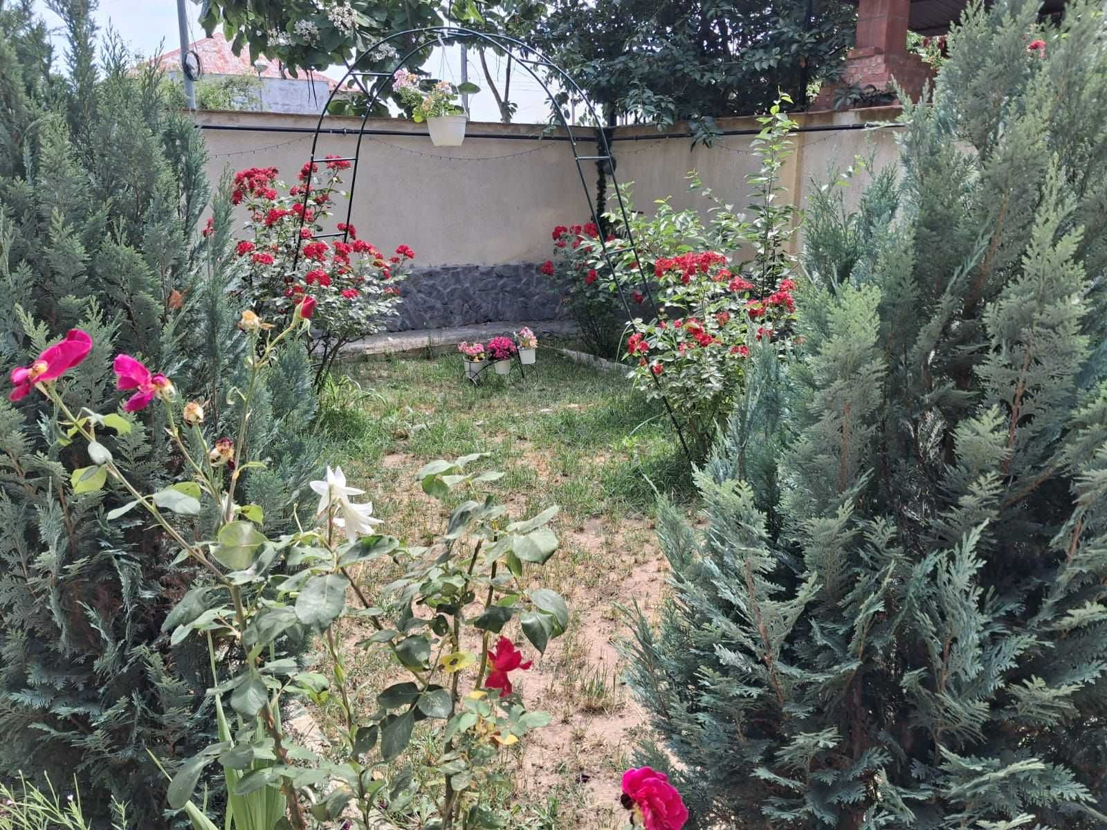 Cazare în Eforie Nord | Promoție 01-06 Iulie 170 RON