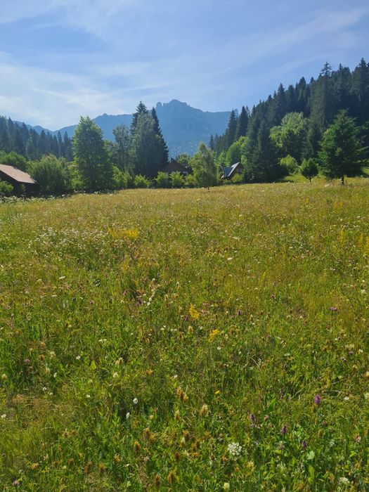 Vand teren intravilan in Ceahlău(Durău)