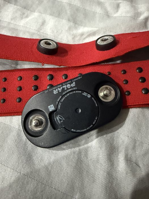 Centura polar beat
