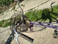 Bicicleta folosita damă