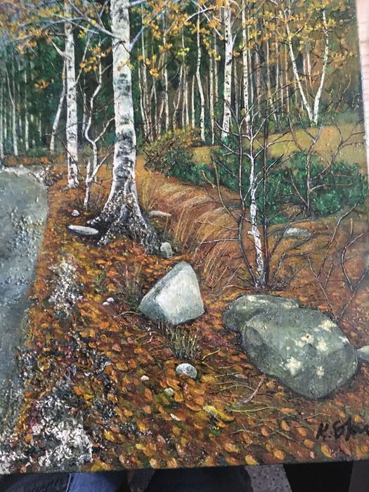 Късна есен на Витоша