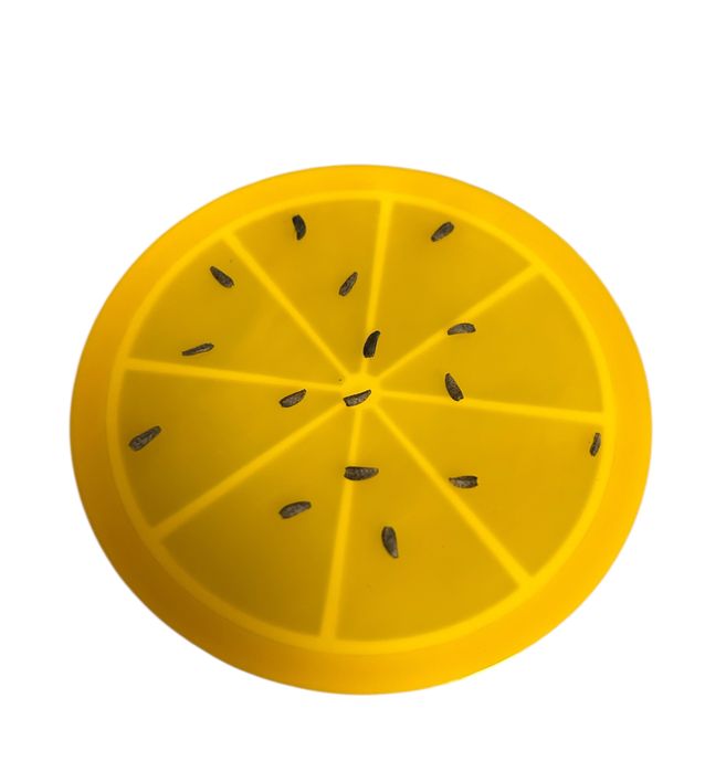 Seminte de brusture BIO pentru plantat cultivat