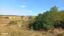Teren de Vânzare în Breazu