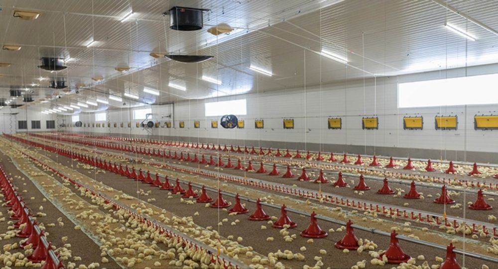 Продается оборудование для птицефабрикы!!!