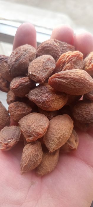 Урик коки куйошда куритилган 3 хилбор личнбни таби нарса