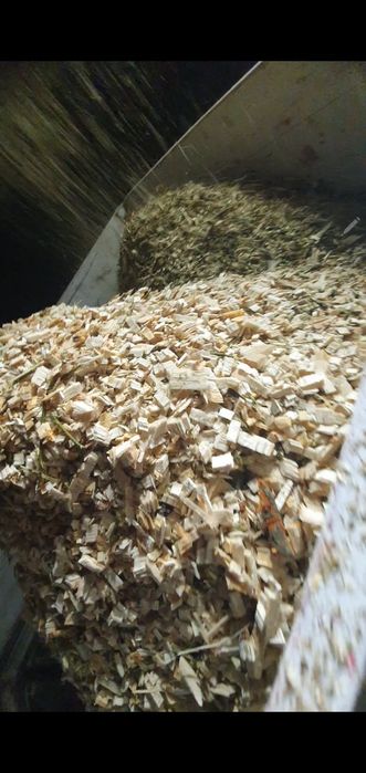 Rumegus pentru afumat fag. SI tocatura