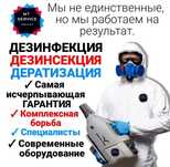 Дезинфекция г.ТАРАЗ