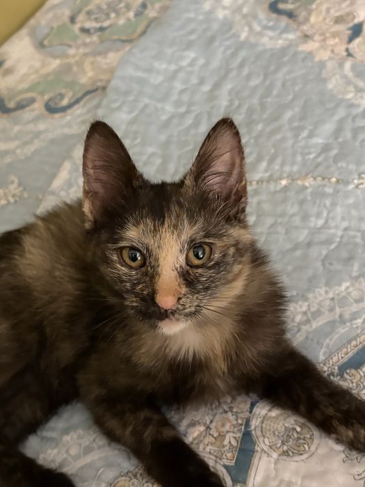 Только ответственным