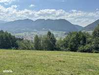 Platou montan, 6631 mp intravilan, electricitate,  langa pădure