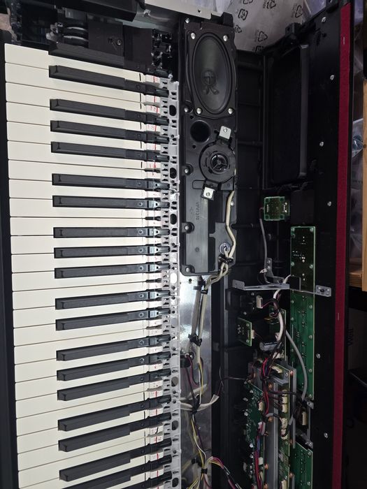 Service clape orga, Korg PA4x, PA5x Yamaha, Roland FR8x, FR7x midi