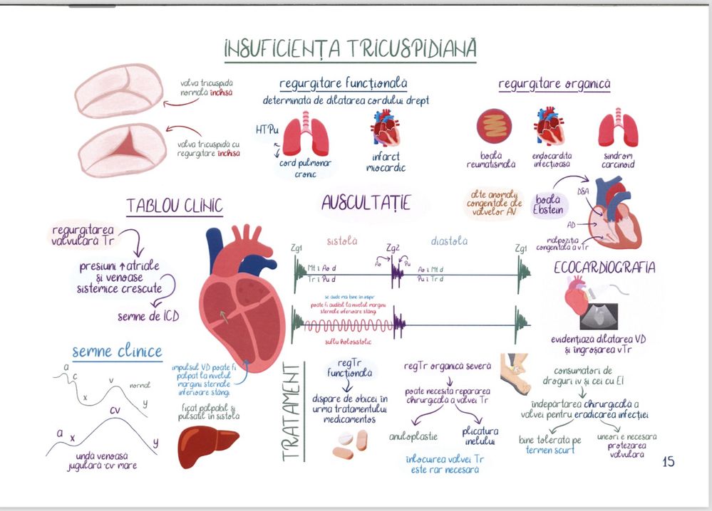 Planse logia Cardio 1