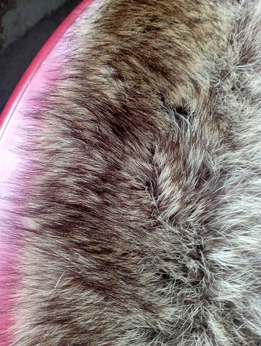 Яка от мечка 95 см