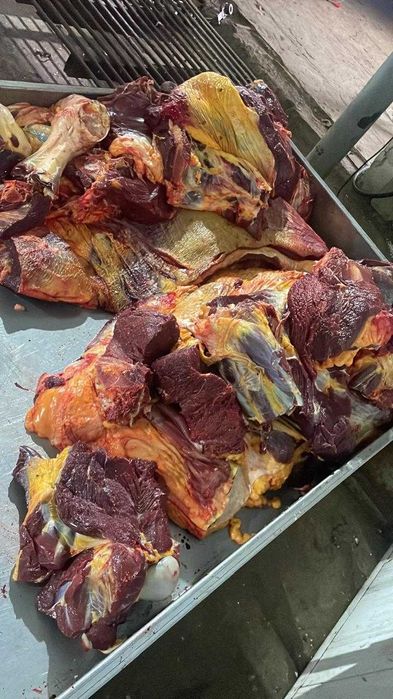 Семіз биенің еті сатылады.