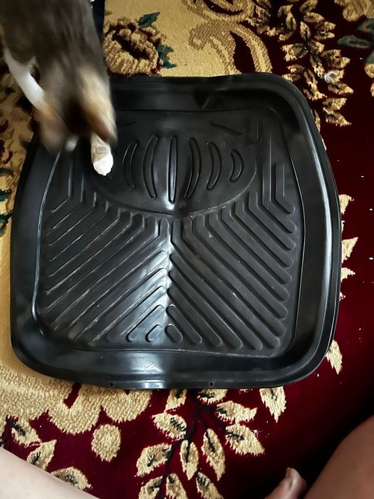 Продам полики для машины