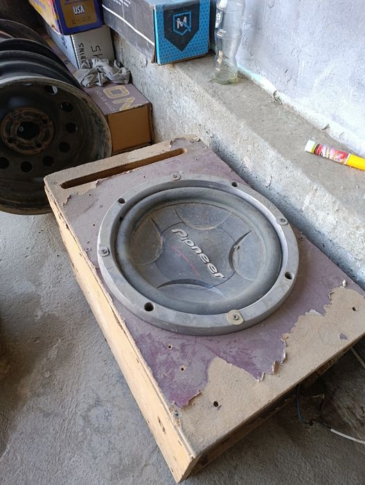 Sanbufer kalonka sotiladi