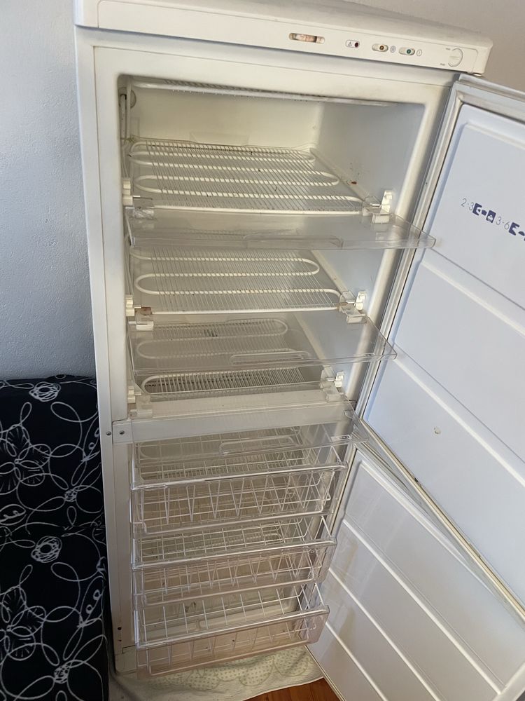 Вертикален Фризер Горение Gorenje